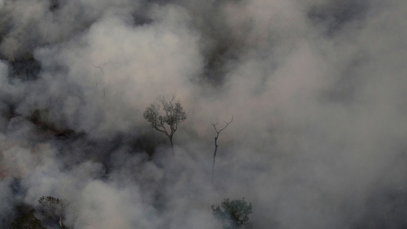 El impacto medioambiental del incendio en la Amazonía: ¿Qué está expuesto al fuego en el 'pulmón del planeta'?