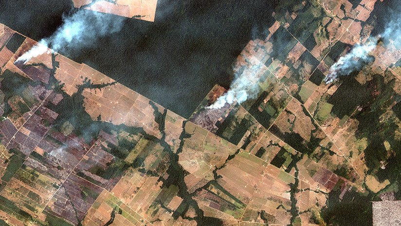 FOTOS: El antes y el después de la rápida propagación de los incendios forestales que arrasan la Amazonia
