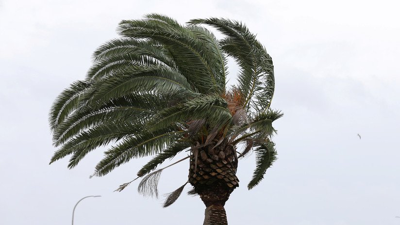 La tormenta tropical Dorian amenaza con llegar como huracán a Puerto Rico y República Dominicana