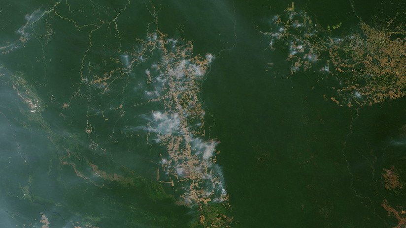 La NASA muestra en un mapa todos los incendios que azotan la Amazonia