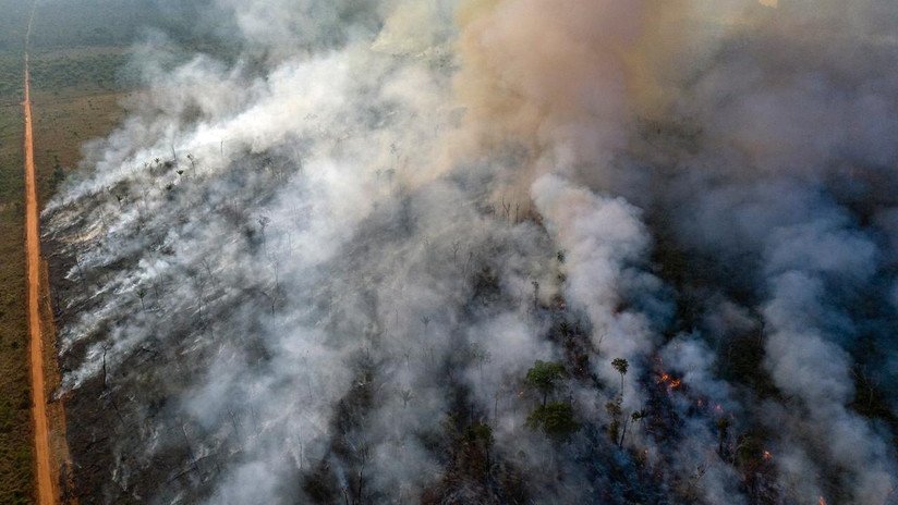 Chile envía la primera ayuda para combatir los incendios en la Amazonia: su avión Air Tractor