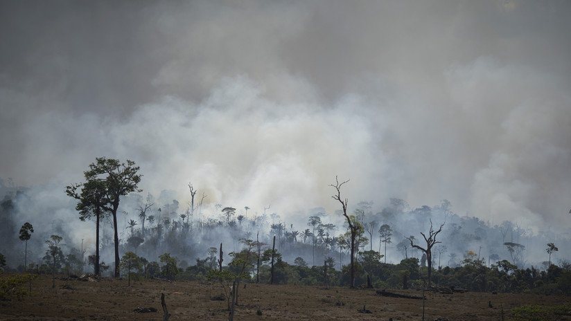 Bolsonaro acepta la ayuda de Chile de 4 aviones militares para apagar los incendios en la Amazonía