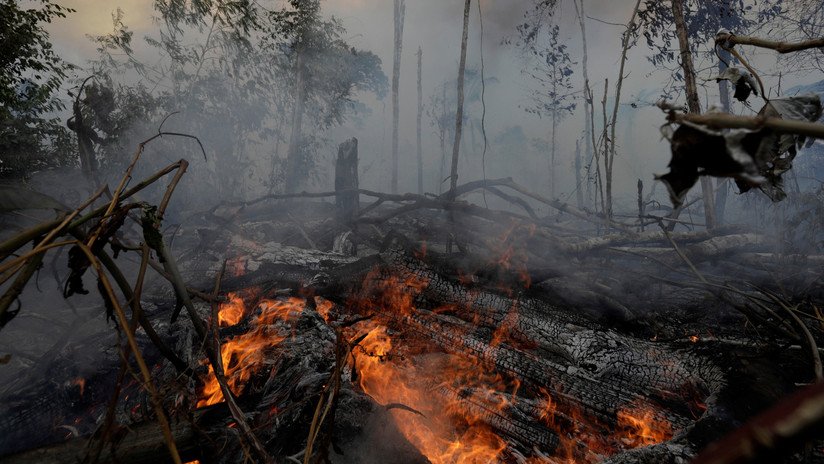 The Intercept: Uno de los principales donantes de Trump estaría detrás de la deforestación de Amazonía