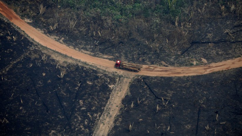 Apagar la destrucción o incinerarnos: ¿qué hacemos con la Amazonía?
