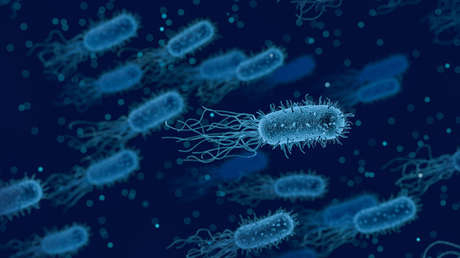 Muere la sexta persona por listeriosis en el Reino Unido tras consumir alimentos en un hospital