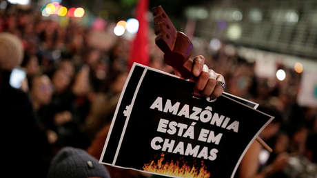 Arde la Amazonia, el pulmón de la Tierra