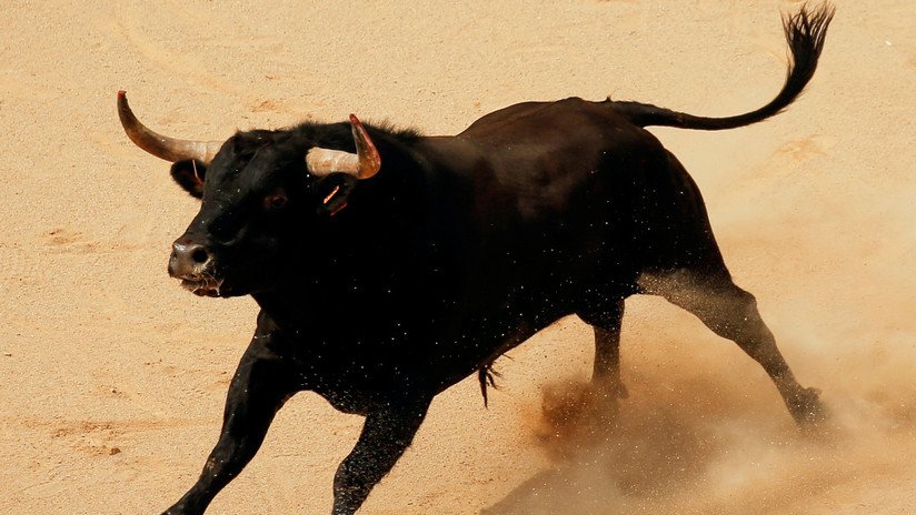 VIDEO: Al menos 17 heridos, uno de gravedad y otro crítico, por un toro que saltó a la tribuna en una fiesta en España