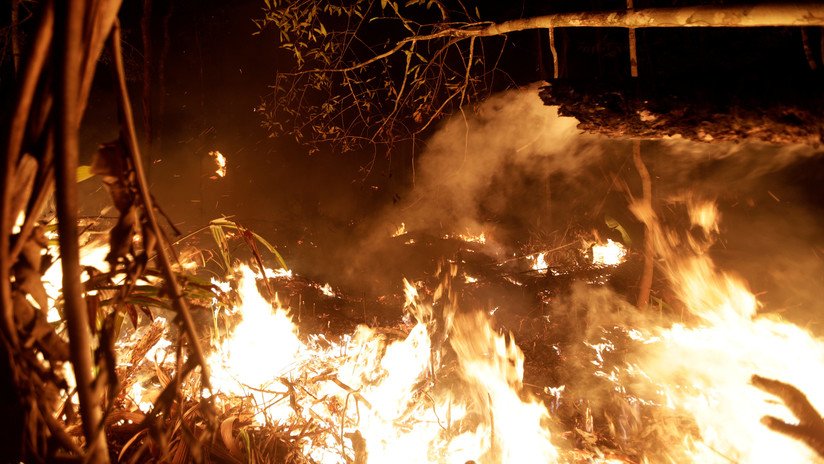 "Un verdadero apocalipsis": Un arzobispo brasileño culpa al Gobierno de los incendios en la Amazonía