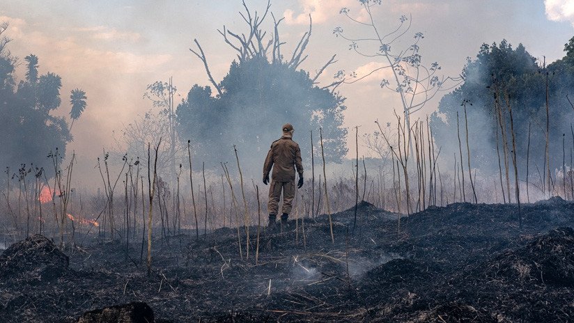 La Amazonia en llamas y el azote del huracán Dorian: ¿de verdad estamos  ante una catástrofe climática? - RT