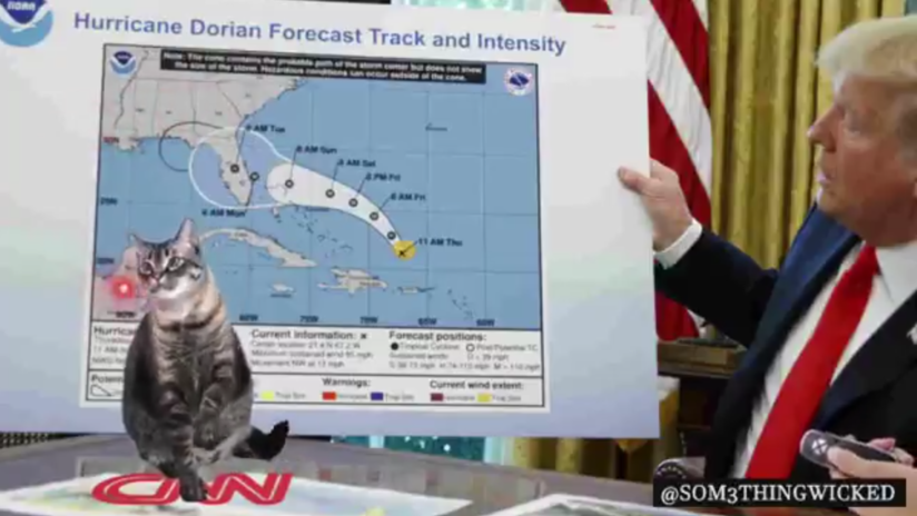 VIDEO: Trump tuitea un video en el que 'juega' con un gato señalando con un puntero láser sobre un mapa con la devastación del huracán Dorian