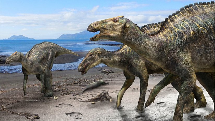 FOTO: Descubren una nueva especie de dinosaurios, la más grande que habitaba las islas de Japón