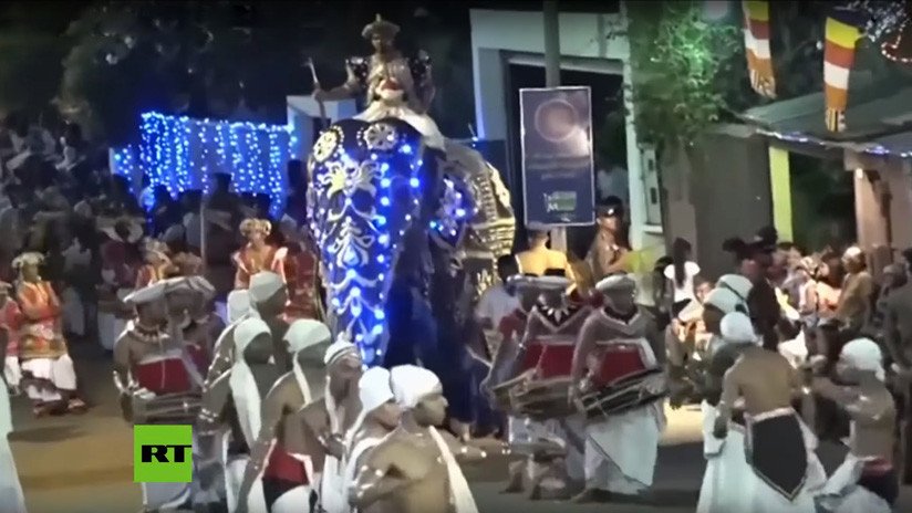 VIDEO: Un elefante enfurecido embiste a una multitud durante un desfile en Sri Lanka