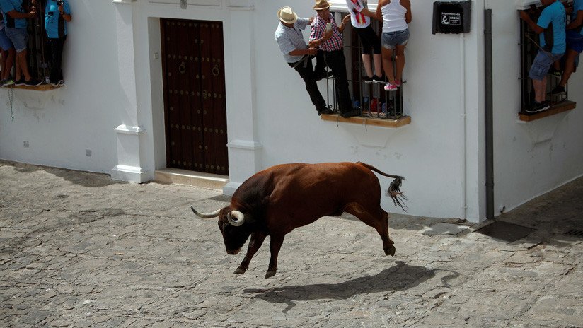 VIDEO: Un toro aterrorizado intenta saltar por la ventana de una casa durante un encierro en España