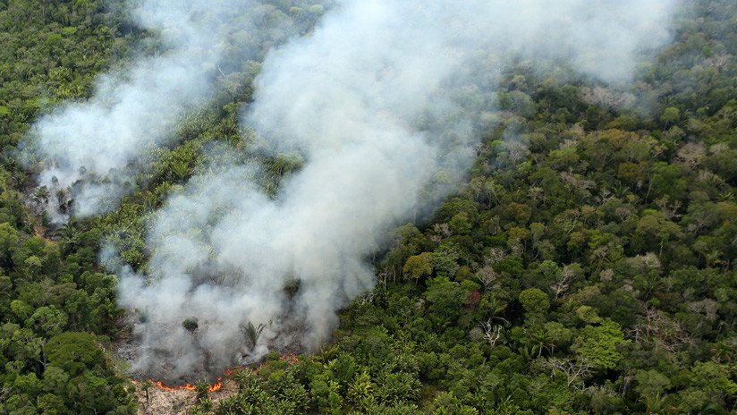 El mayor fondo para la protección de la Amazonia pende de un hilo