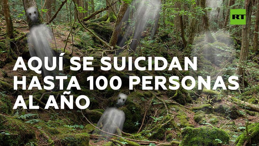 Aokigahara, 'bosque de suicidios' en Japón