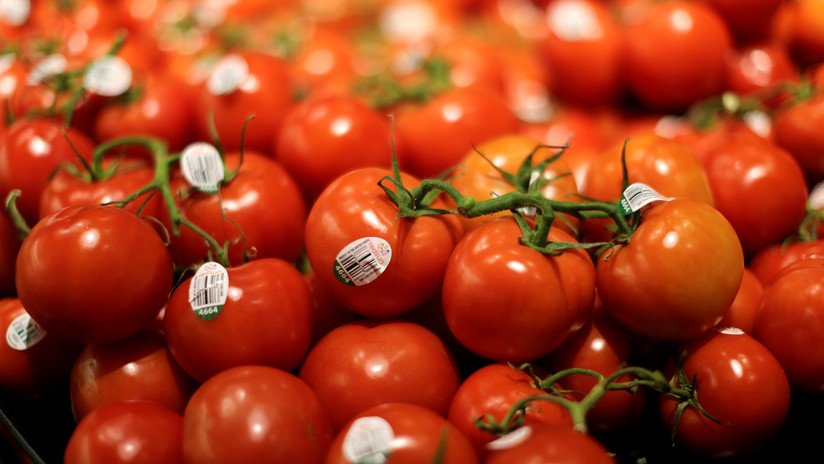 EE.UU. elimina oficialmente el arancel al tomate mexicano