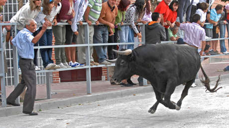 Un anciano muere tras ser corneado por una vaca durante un popular encierro en España (VIDEO)