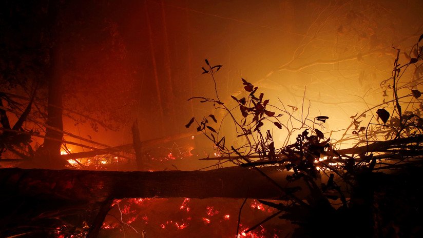 Chile: Declaran alerta roja en Valparaíso por presunto "incendio intencional"