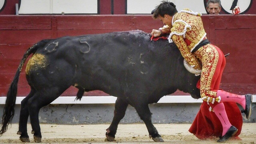 VIDEO: Grave cornada secciona la femoral de un conocido torero, novio de la sobrina del rey de España