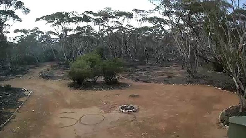 Pasa varios días perdida en una zona de matorrales en Australia y una cámara la salva de morir deshidratada