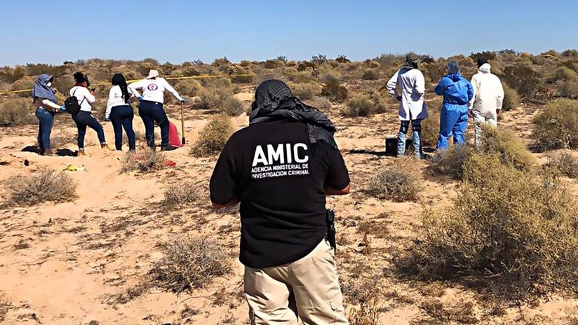 Mujeres 'buscadoras' de desaparecidos en México hallan 13 cuerpos en un terreno baldío en Sonora