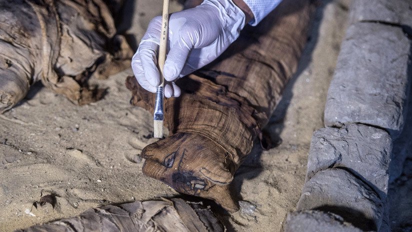 Científicos 'abren' una antigua momia de gato egipcia y se llevan una gran sorpresa al ver su contenido
