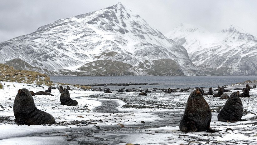 Estudio: el aumento del hielo marino antártico pudo haber contribuido a la era del hielo