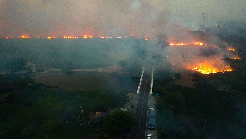 Incendios de "proporciones nunca registradas" devastan el Pantanal en Brasil