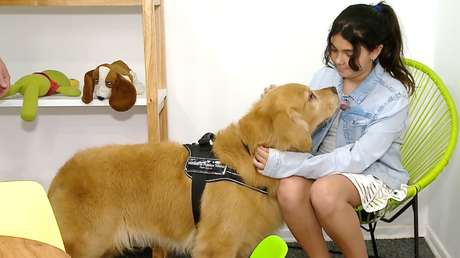 VIDEO: Titán, el perro de terapia que ayuda a declarar a los menores que han sufrido abusos en Buenos Aires