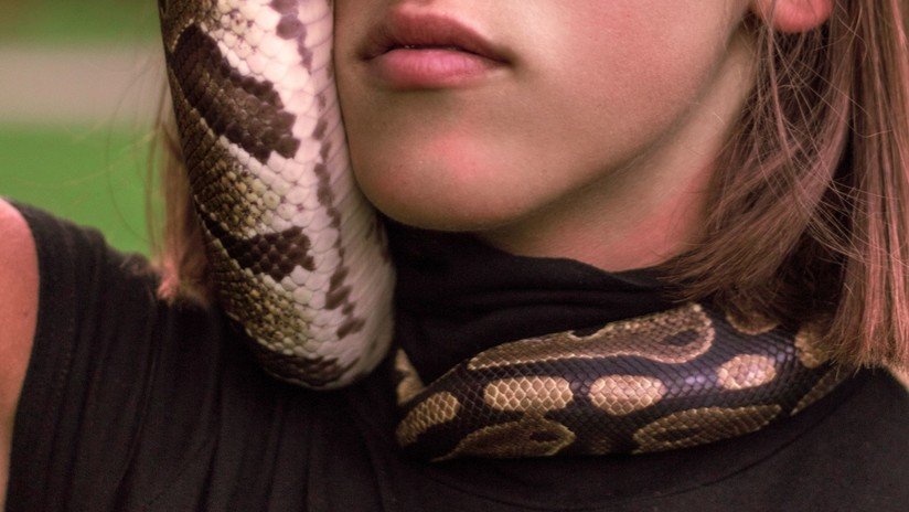 Encuentran muerta a una mujer con una pitón alrededor del cuello en una casa donde vivían 140 serpientes