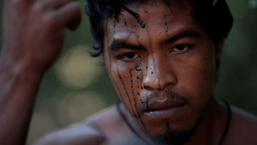 Madereros asesinan a tiros a un guardián indígena de la Amazonía en Brasil
