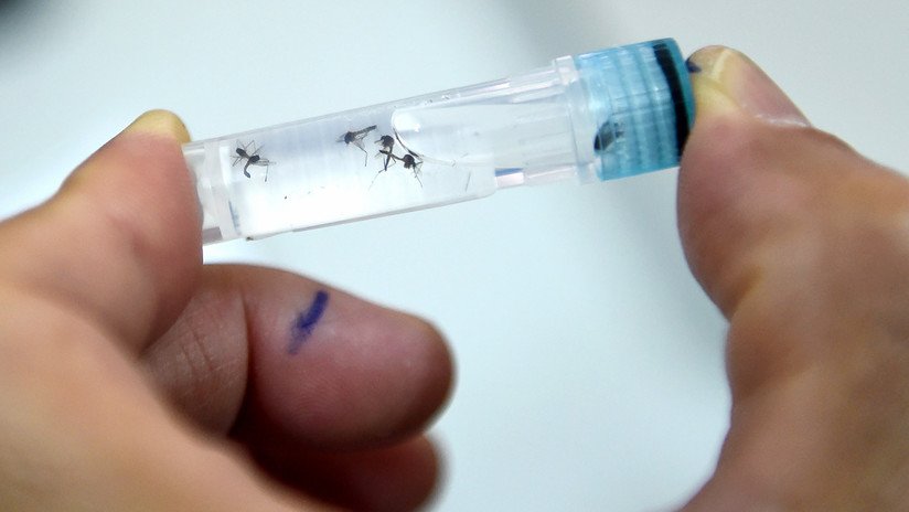 Se registra en Madrid el primer caso de dengue por transmisión sexual de Europa