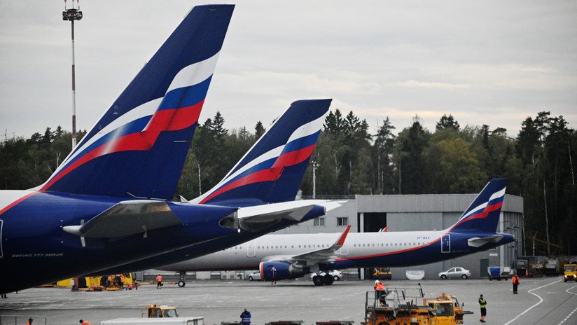 Aerolínea rusa 'castiga' al pasajero que la engañó para llevar a bordo su gordo gato