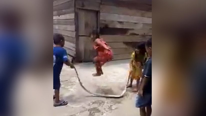 VIDEO: Niños 'saltan a la cuerda' con una serpiente muerta