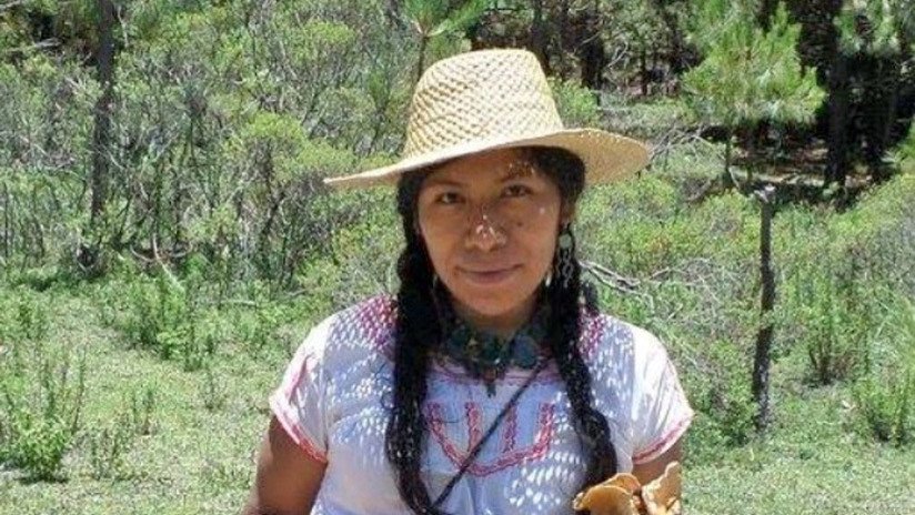 Desaparece la ambientalista Irma Galindo tras reportar amenazas en el estado mexicano de Oaxaca
