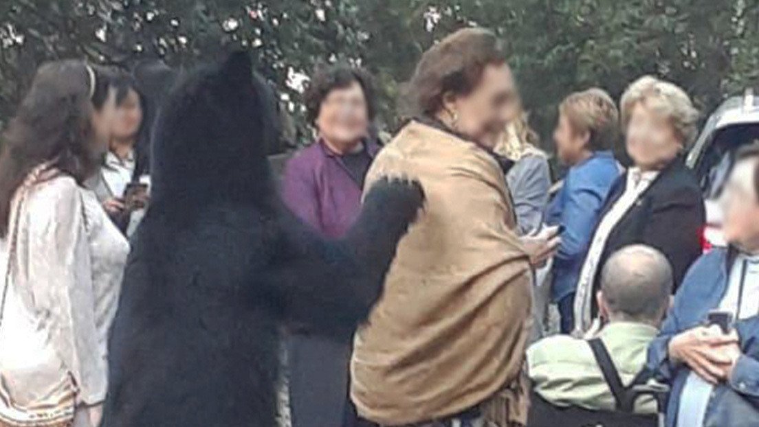 VIDEO: Un oso se acerca a una mujer mexicana para acariciarle el pelo y conquista corazones