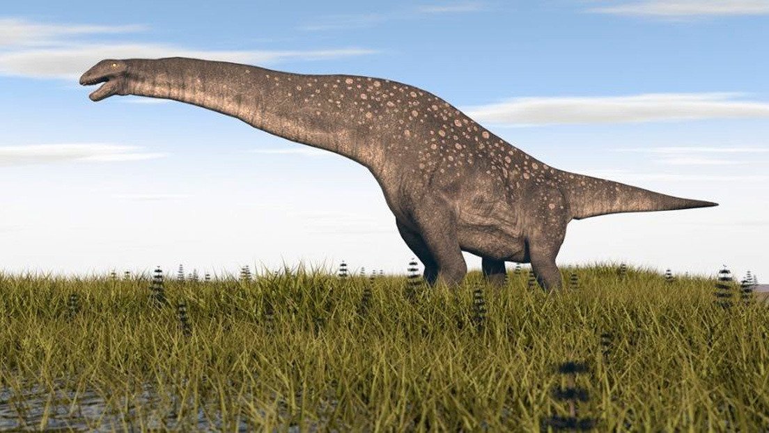 Hallan en Argentina restos de un titanosaurio de 85 millones de años