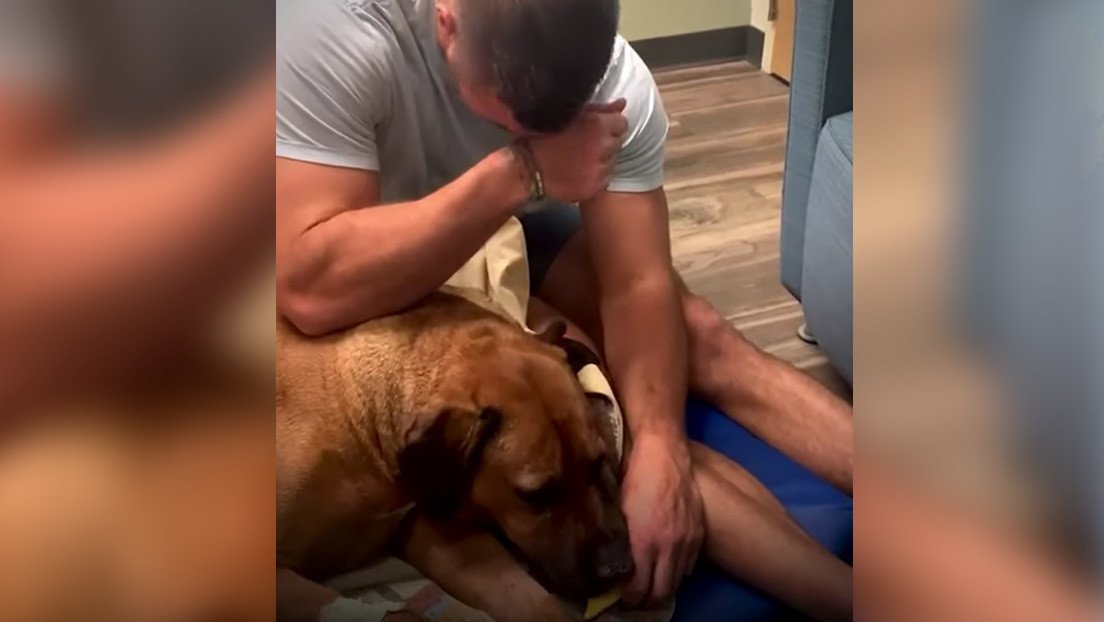 VIDEO: Un hombre llora mientras da de comer a su perro por última vez