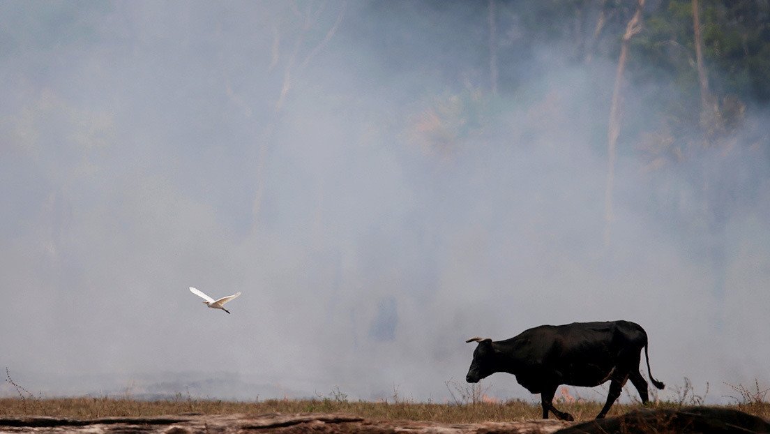 Los incendios de la Amazonia aceleran el derretimiento de los glaciares de los Andes