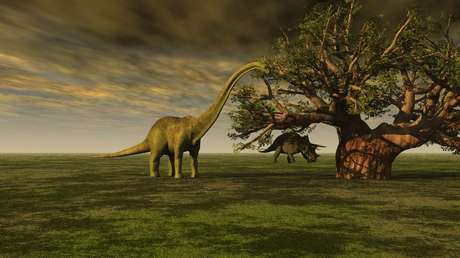 Imagen ilustrativa