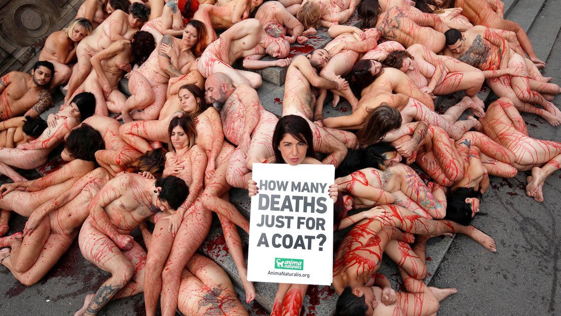 VIDEO: Activistas realizan una protesta nudista en Barcelona contra el uso de pieles de animales