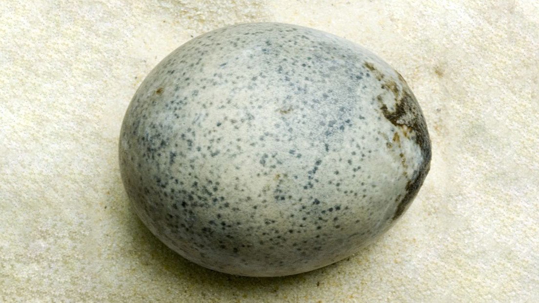 Arqueólogos activan por accidente las 'bombas de hedor más antiguas del mundo' tras romper huevos de hace 1.700 años