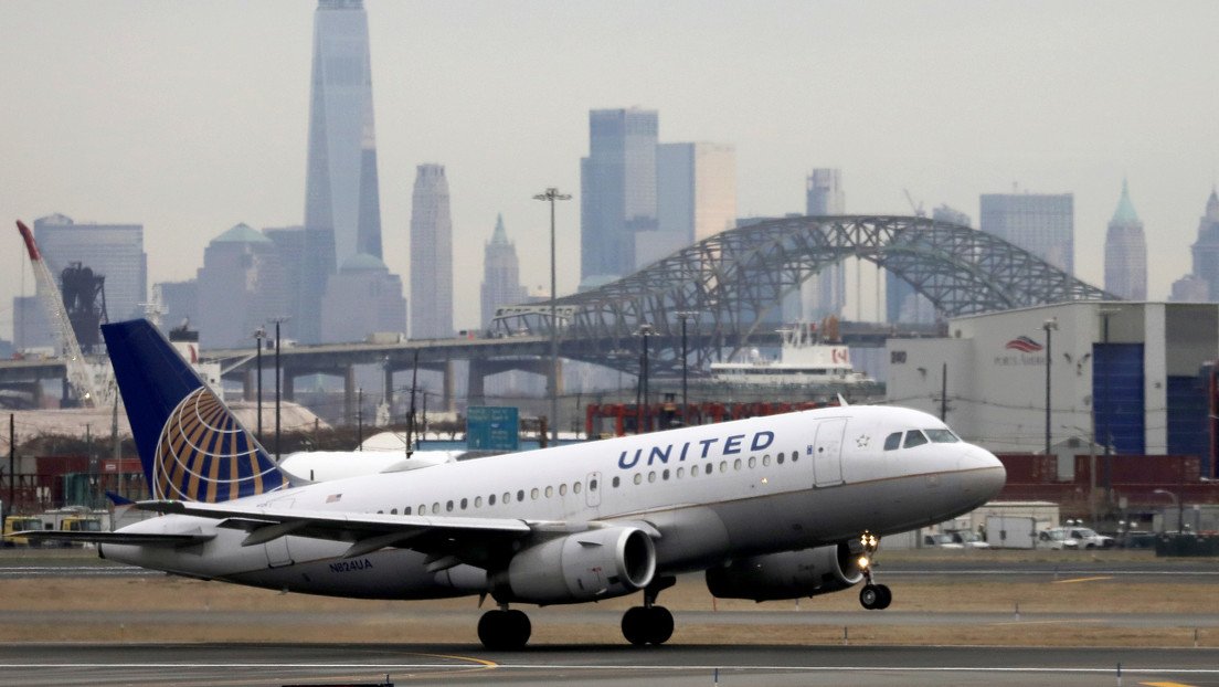 FOTO: Un escorpión pica a una pasajera en pleno vuelo de United Airlines en EE.UU.