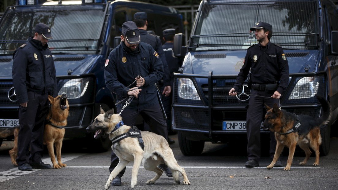 Organizan una exhibición canina en un instituto de España y detectan a tres menores con drogas