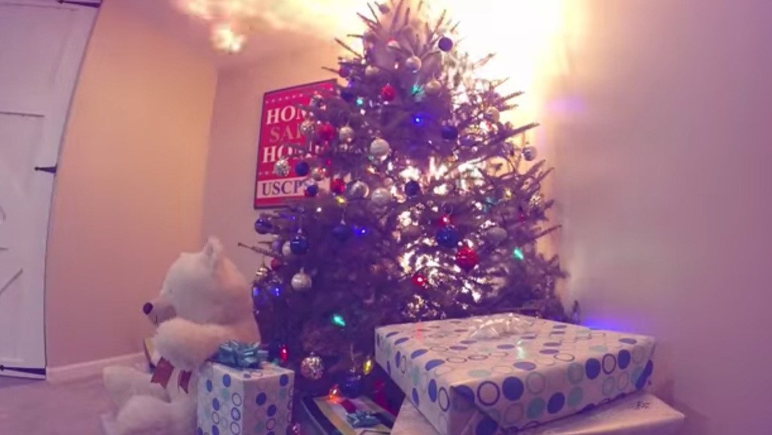 VIDEO: Así de rápido arde un árbol de Navidad natural si dejas que se seque