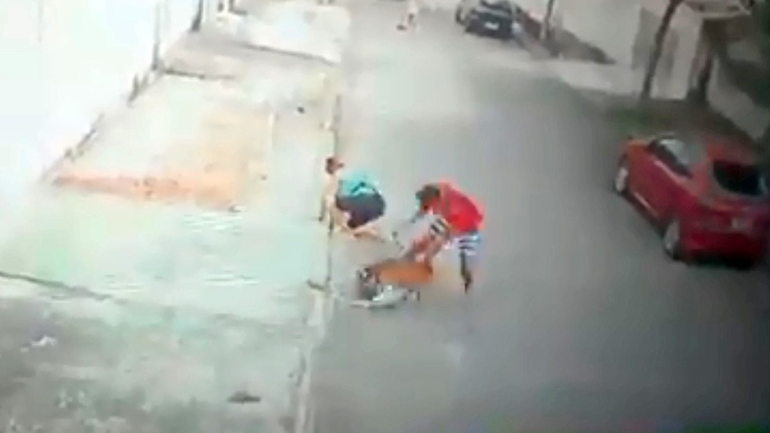 VIDEO: Un joven salva a un niño de 5 años del ataque de un pitbull