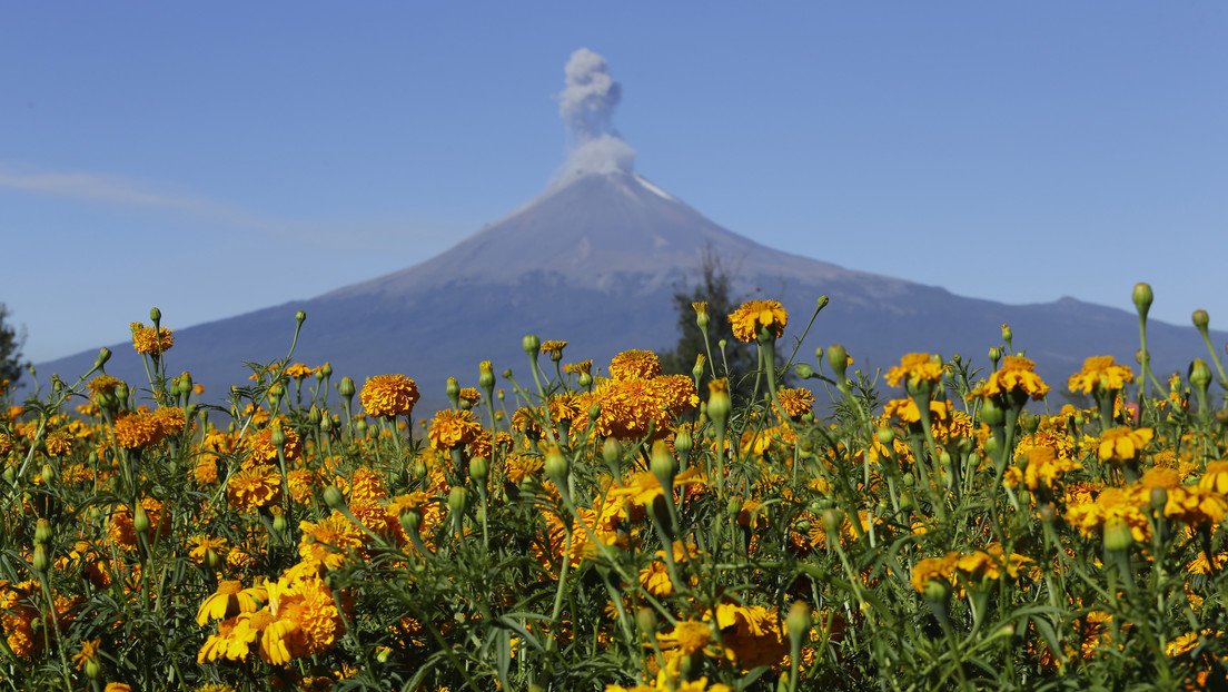 VIDEO: El volcán Popocatépetl emite una columna de cenizas y gases de un kilómetro de altura