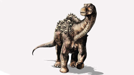 Paleontólogos encuentran al primer dinosaurio de Ecuador
