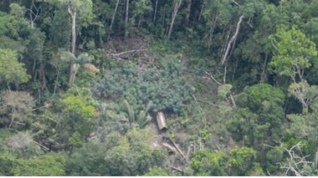 Imágenes inéditas de una comunidad de indígenas no contactados en la Amazonía peruana