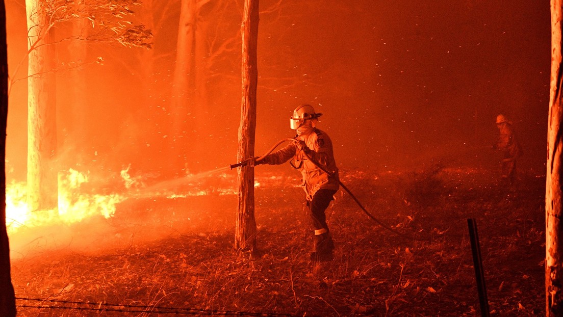 Indignado bombero australiano que interrumpe un reportaje para insultar al primer ministro cae posteriormente al suelo por agotamiento (VIDEO)